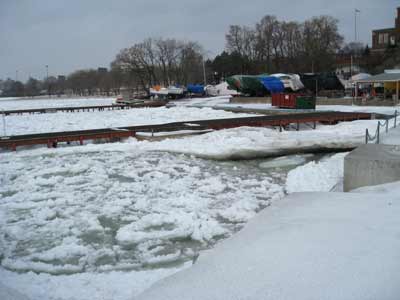 lots of ice in the harbour at my boat club