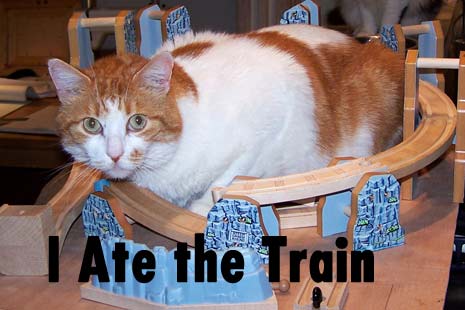 johan ate the train