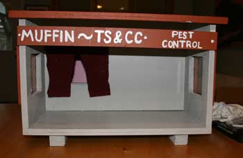 latest cat shelter I have built