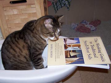 very funny cat reading a book in bidet