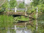 black creek