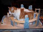 Cats at work